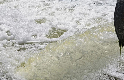 干貨！河道污水處理方法