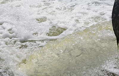 企業(yè)超標排放嚴重 將罰款60萬元