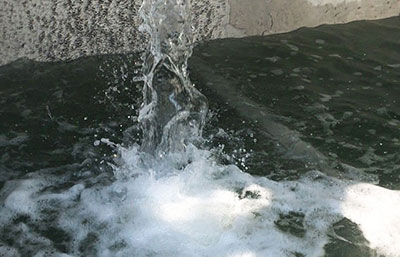 制藥廢水深度處理工藝技術(shù)分析