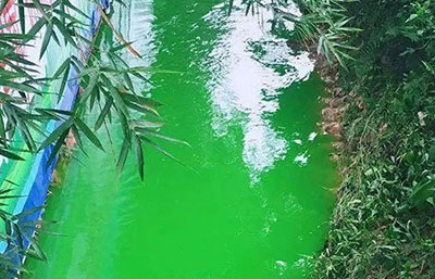 觸目驚心！水全都“染綠”了！多家企業(yè)被查處
