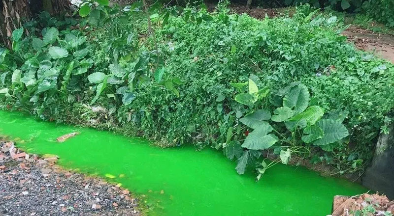 觸目驚心!水全都“染綠”了!多家企業被查處! 觸目驚心!水全都“染綠”了!多家企業被查處!